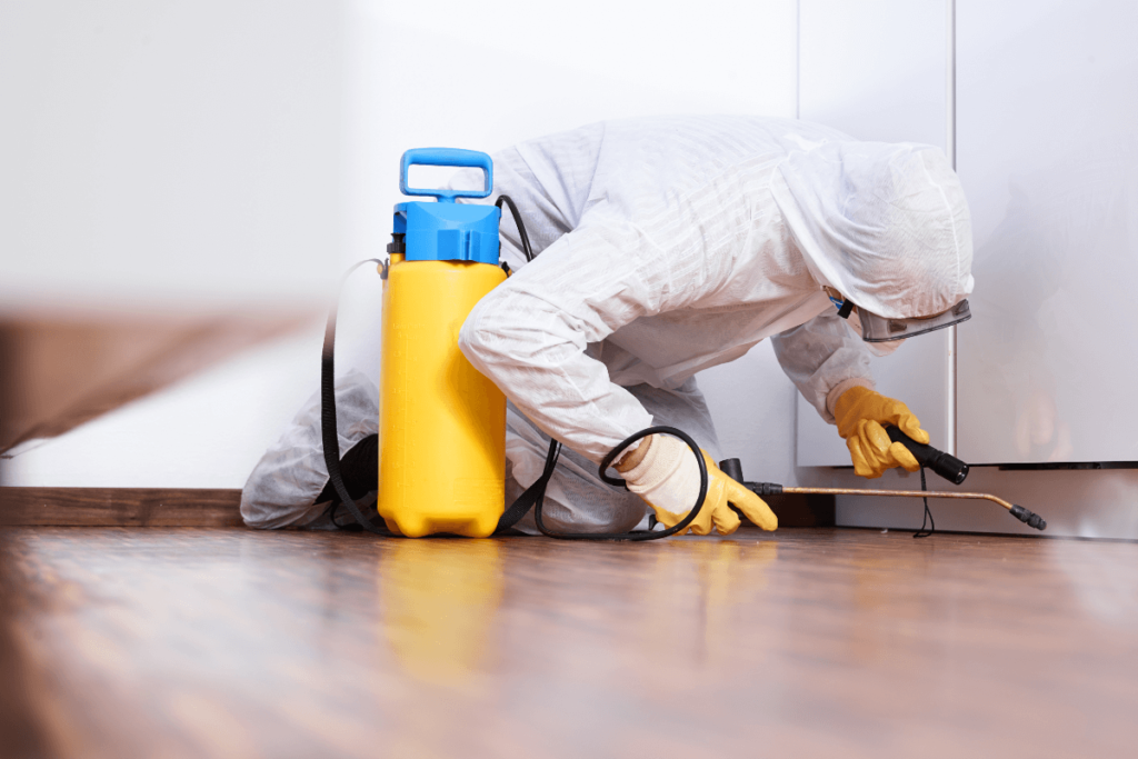 Failproof Ways To Get Rid Of Pests In Your Home & Office – Latest Technology News – Gaming & PC Tech Magazine