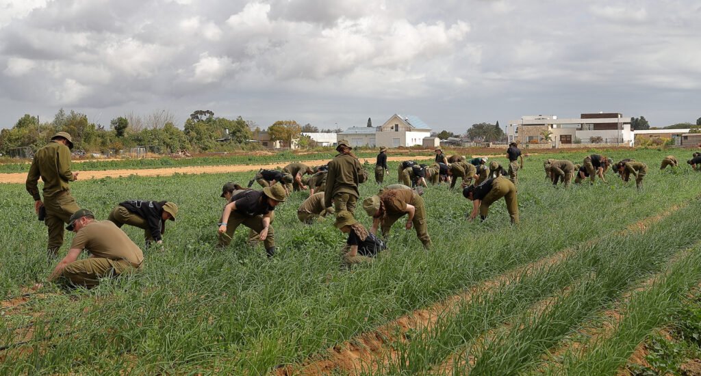 Israeli Non-profits Team Up On Financial Help For Stricken Farmers